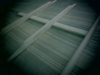 /album/a12strunna-kytara-/img-4545-jpg/